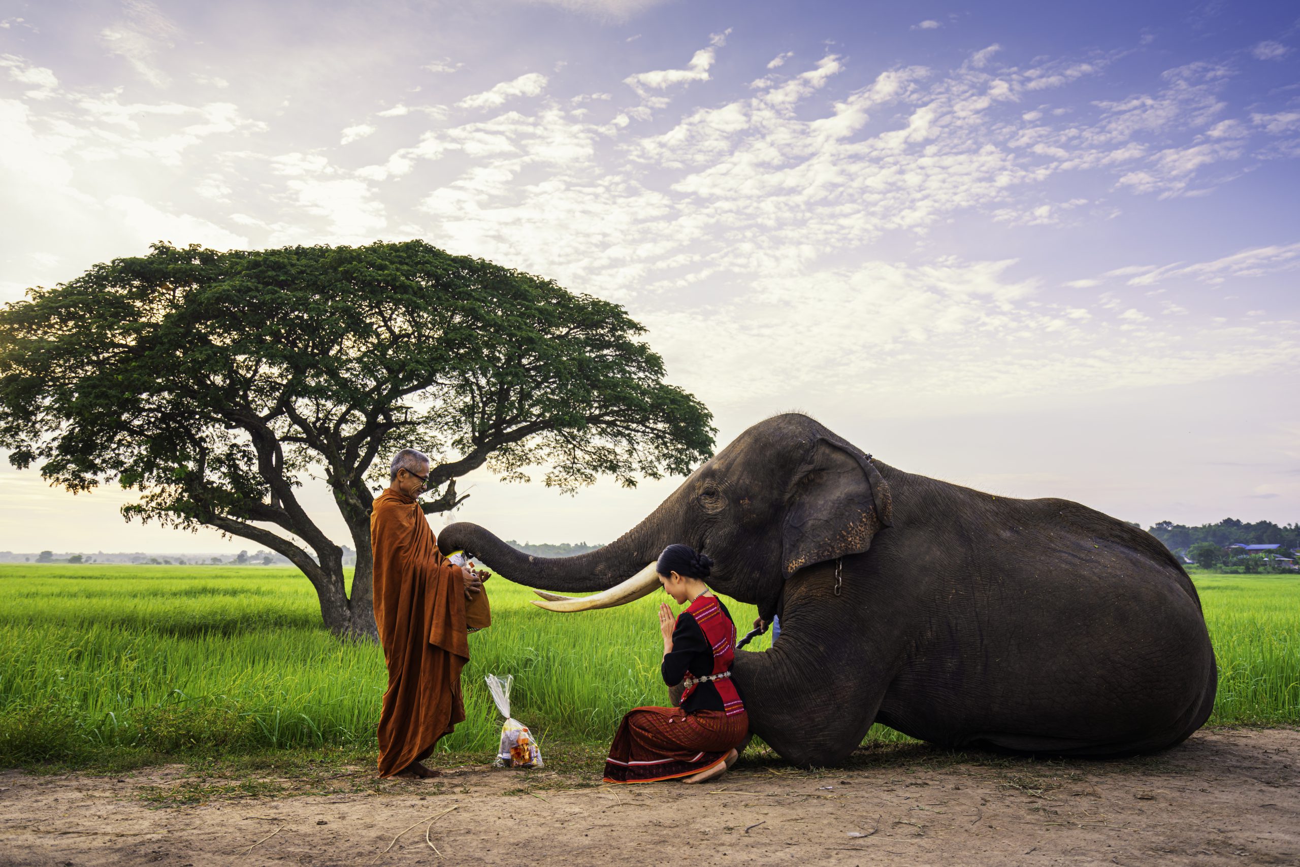 Northern Thailand