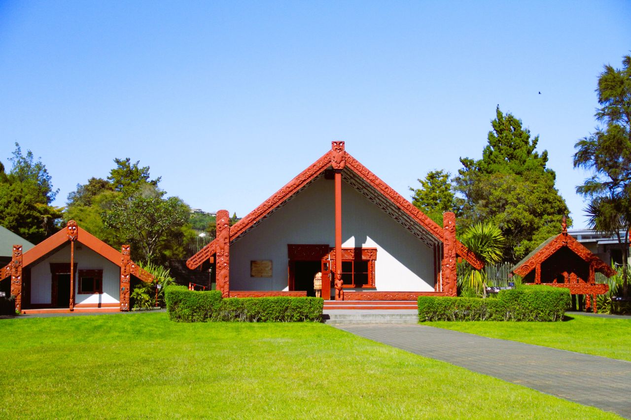 Discover New Zealand Northen Adventure with FiveE Travel in small group tours.