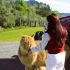 Explore Northern of New Zealand in small group tours with FiveE Travel