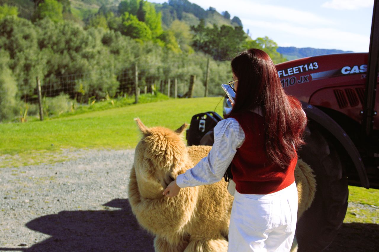 Explore Northern of New Zealand in small group tours with FiveE Travel