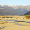 FiveE Travel offers New Zealand Rail experience in small group tours.