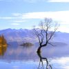 Explore Southern New Zealand Signature with FiveE Travel in small group tours