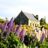 Experience 2-day Mt Cook and Lake Tekapo Stargazing from Christchurch with FiveE Travel