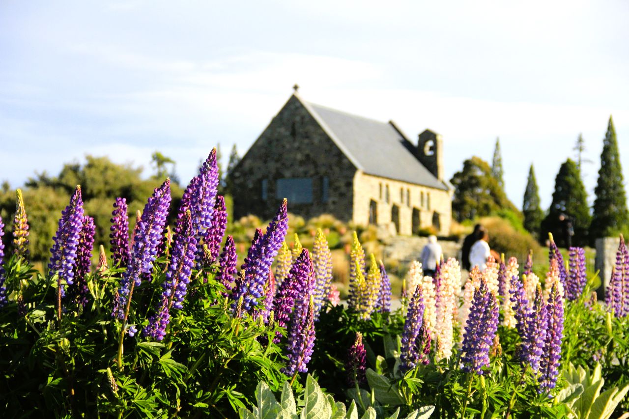 Experience 2-day Mt Cook and Lake Tekapo Stargazing from Christchurch with FiveE Travel