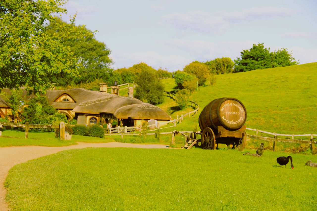 Explore Real New Zealand Tour with FiveE Travel in a small group.