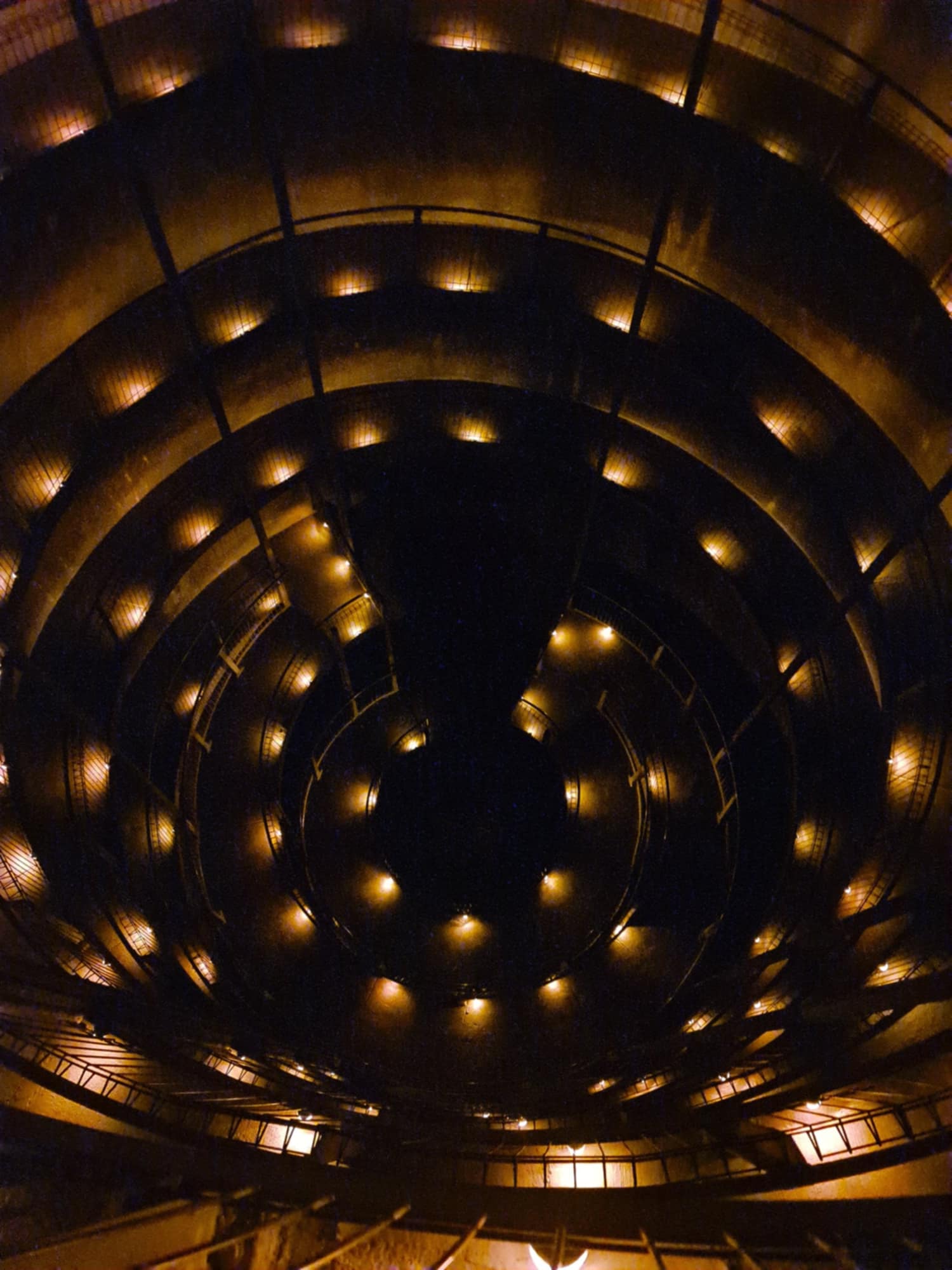 Waitomo Caves