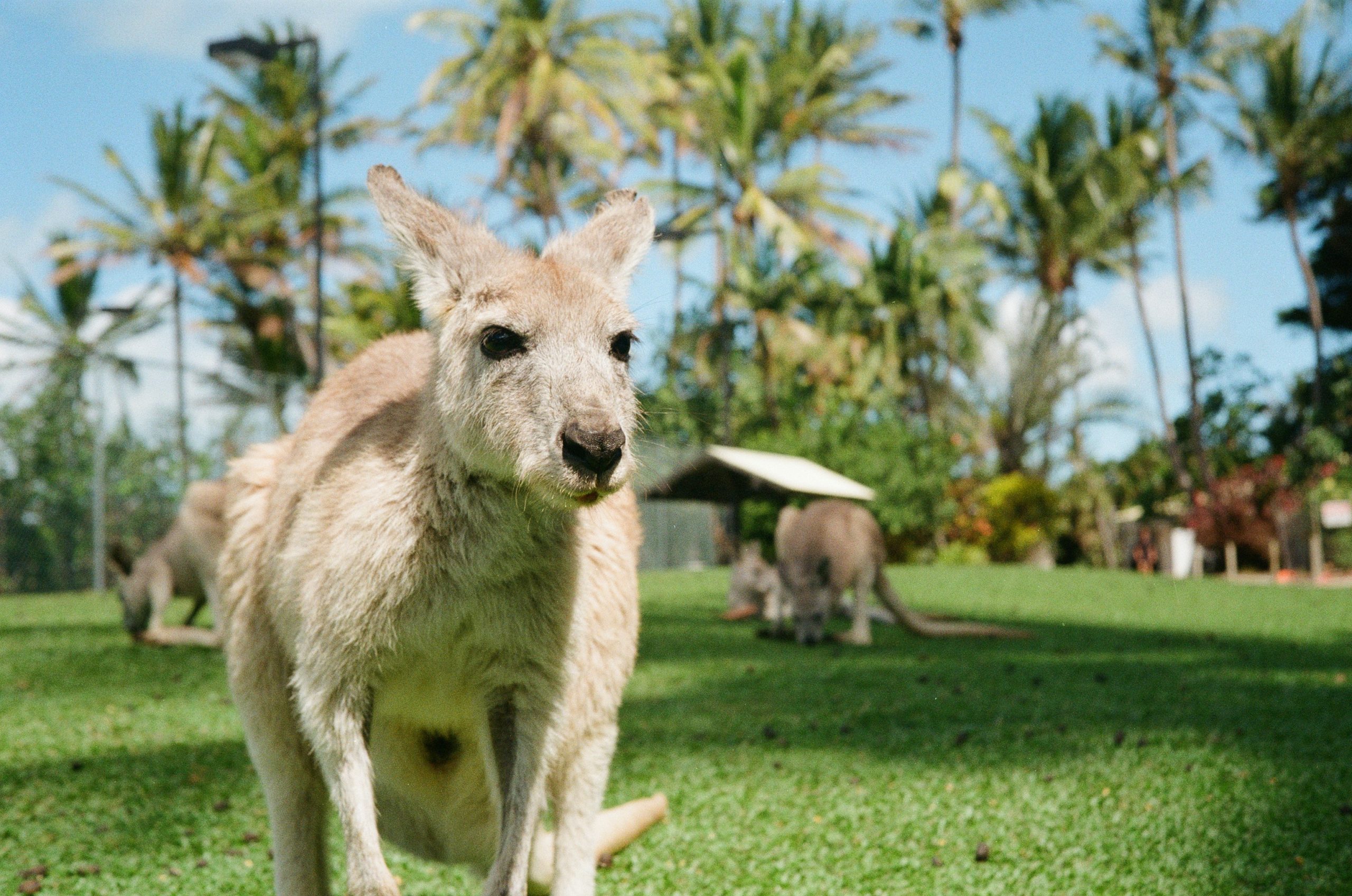 South Australia