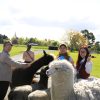 Discover New Zealand Northern Treasures in a small group tour with FiveE Travel