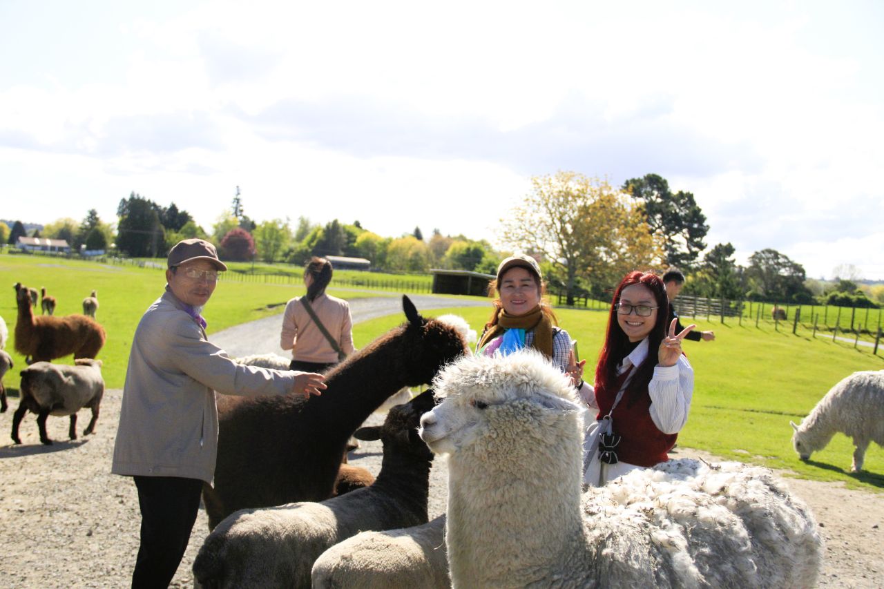 Discover New Zealand Northern Treasures in a small group tour with FiveE Travel