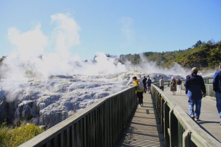 Tepuia in Rotorua: NZ small group tours by FiveE Travel