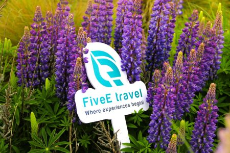 Experience the best customized New Zealand with FiveE Travel tours
