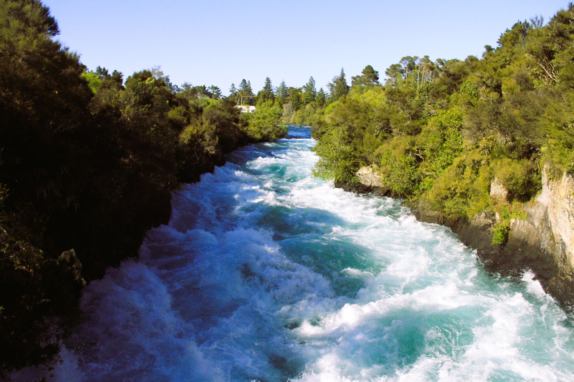 Taupo