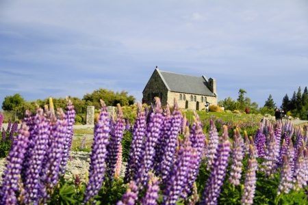 Lake Tekapo: FiveE Travel’s Award-Winning Attractions on New Zealand small group tours